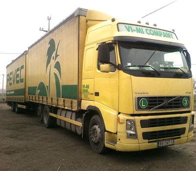Vi-Mi Company 2